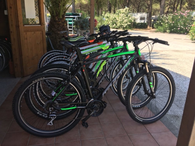 Mountain Bike noleggio camping Mareblu